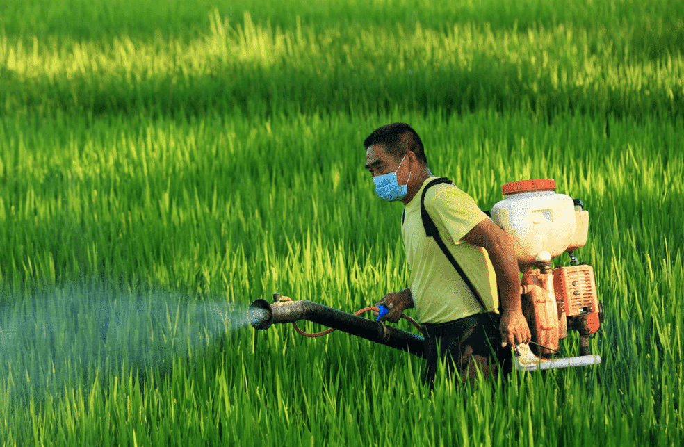 国产69精品久久久久人妻