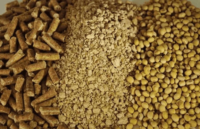 豆粕进口报关 国产69精品久久久久人妻