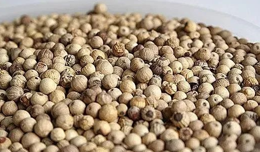 国产69精品久久久久人妻