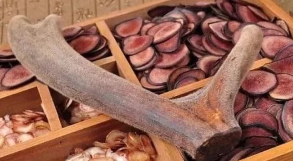 国产69精品久久久久人妻