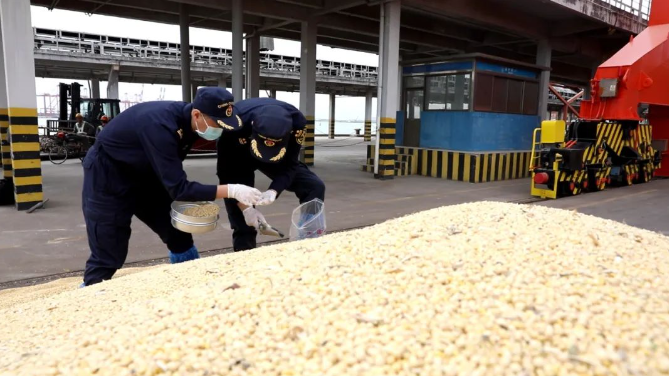 国产69精品久久久久人妻