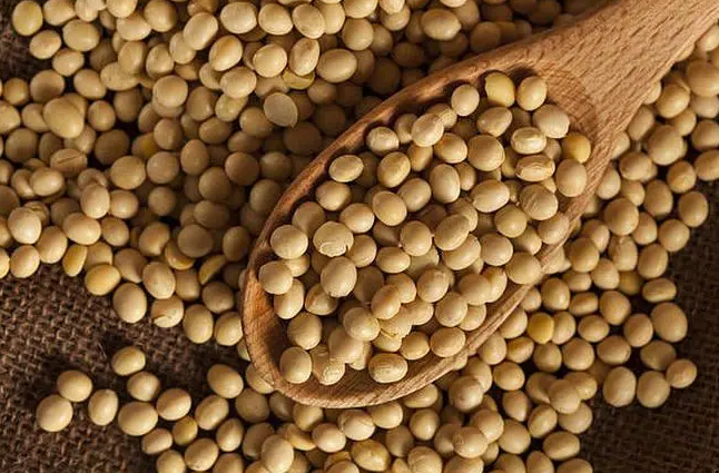 国产69精品久久久久人妻