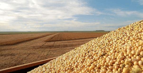 国产69精品久久久久人妻