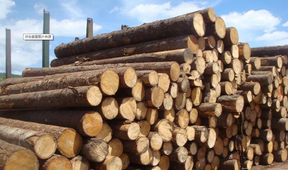 国产69精品久久久久人妻