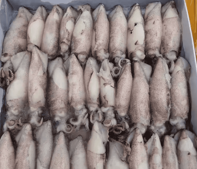 国产69精品久久久久人妻