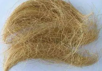 国产69精品久久久久人妻