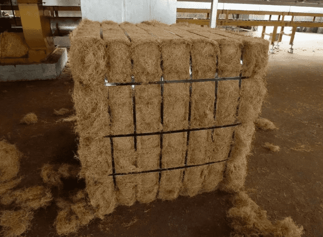 国产69精品久久久久人妻