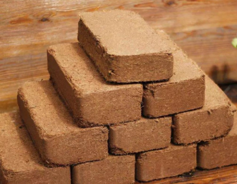 国产69精品久久久久人妻