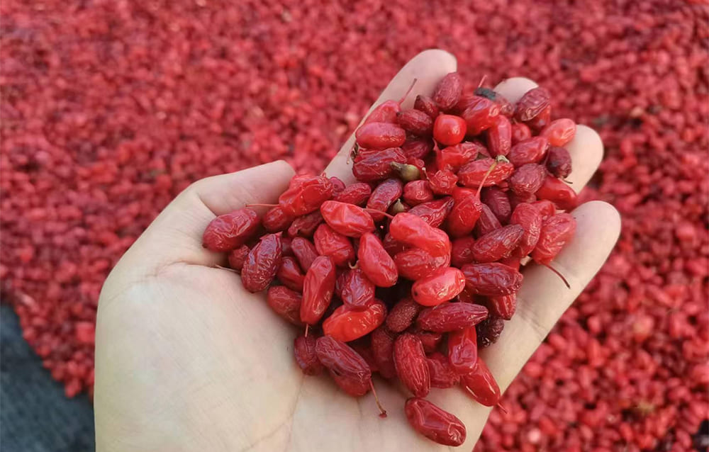 山茱萸进口如何顺利通关？这篇文章告诉你