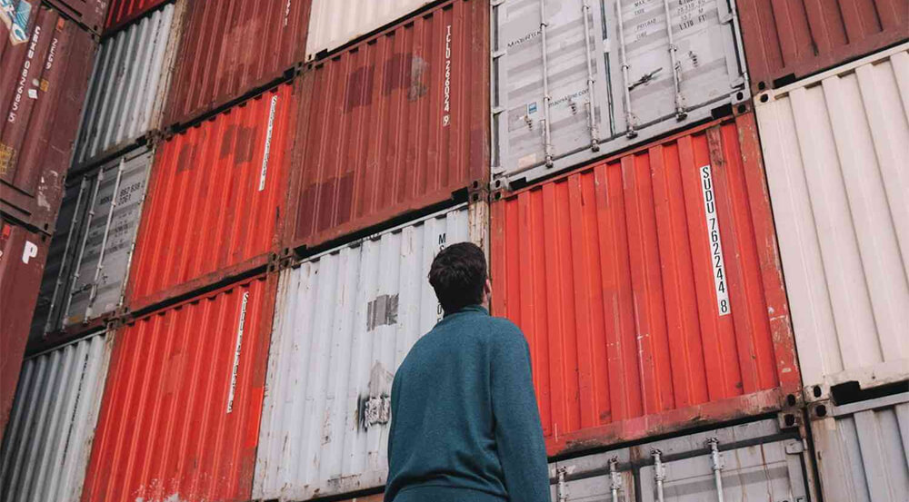 一文告诉你，2025冷冻肉是如何顺利进口的