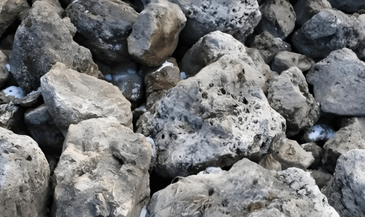 锌精矿报关清关